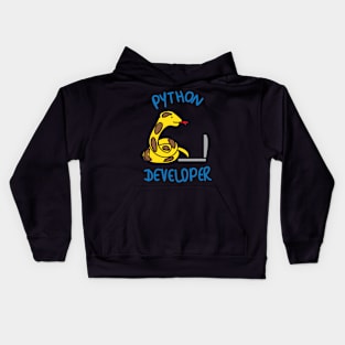 Python program developer pun Kids Hoodie